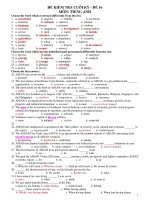 ĐỀ KIỂM TRA CUỐI KỲ - ĐỀ 16 MÔN: TIẾNG ANH pptx