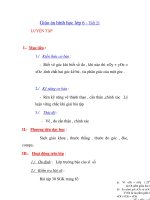 Giáo án hình học lớp 6 - Tiết 21 LUYỆN TẬPI doc