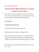 NGUYÊN NHÂN HÌNH THÀNH VÀ VẮN HÓA XÃ HỘI NGUYÊN THỦY_2 pot