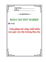 Báo cáo tốt nghiệp: Giải pháp mở rộng xuất khẩu rau quả vào thị trường Hoa Kỳ doc