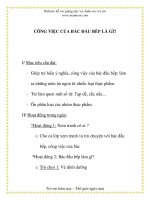 Giáo án chương trình mới: Lớp Chồi CÔNG VIỆC CỦA BÁC ĐẦU BẾP LÀ GÌ? docx