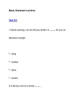 Basic Grammar''''s archiveTest 011 pdf
