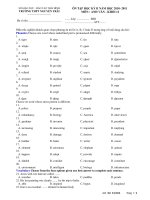 ÔN TẬP HỌC KỲ II NĂM HỌC 2010- 2011 MÔN : ANH VĂN - KHỐI 12 pdf