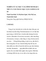 BÁO CÁO KHOA HỌC: 