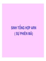 CÁC QUÁ TRÌNH SINH HỌC Ở MỨC PHÂN TỬ part 3 potx