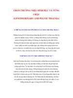 CHẤN THƯƠNG NIỆU-SINH DỤC VÀ VÙNG CHẬU ppt