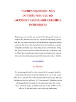 TAI BIẾN MẠCH MÁU NÃO DO THIẾU MÁU CỤC BỘ ppt