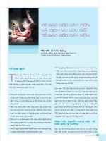 TẾ BÀO GỐC DÂY RỐN VÀ LƯU TRỮ ppsx