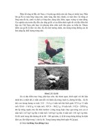 Công nghệ chăn nuôi : GIỐNG VÀ CÔNG TÁC GIỐNG VẬT NUÔI part 9 ppsx