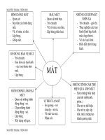 Giáo án giảng dạy khối lớp Lá: Mắt bé yêu ppt