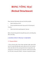 BONG VÕNG MẠC (Retinal Detachment) doc