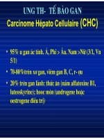 Chẩn doán hình ảnh : U Gan part 5 pot