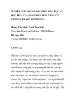 BÁO CÁO KHOA HỌC: 