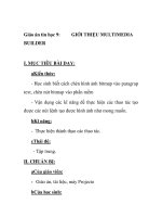 Giáo án tin học 9 : BUILDERGIỚI THIỆU MULTIMEDIAI pot
