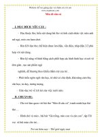 Giáo án chương trình mới: Lớp lá Mèo đi câu cá pps