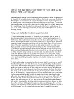 NHỮNG THỦ TỤC TRONG MỘT PHIÊN TỐ TỤNG HÌNH SỰ HỆ THỐNG PHÁP LUẬT HOA KỲ pptx