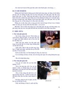 Giáo trình bệnh nội khoa gia súc part 4 ppt