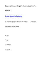 Business Idioms in English – Intermediate level''''sarchiveOnline Marketing Campaign docx