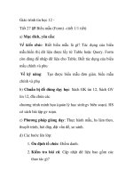 Giáo trình tin học 12 - Tiết 27 Biểu mẫu (Form) pptx