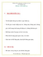 Giáo án chương trình mới: Lớp Chồi Đề tài : CƠN GIÓ LẠ pps