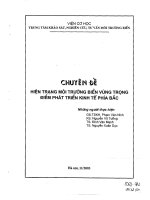 Hiện trạng môi trường biển vùng trọng điểm phát triển kinh tế phía Bắc