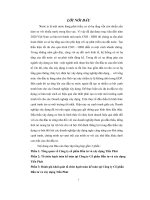 Báo cáo tổ chức hạch toán kế toán tại công ty cổ phần đầu tư và xây dựng tiến phát