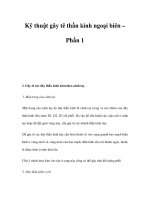 Kỹ thuật gây tê thần kinh ngoại biên – Phần 1 pps