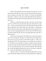 đánh giá hiệu quả điều trị loét bàn chân ở bệnh nhân đái tháo đường bằng yếu tố tăng trưởng biểu bì
