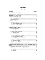 Xây dựng chiến lược phát triển sản phẩm mới tại công ty tư nhân