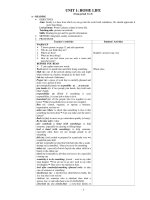 UNIT 1: HOME LIFE (from period 1 to 5) doc