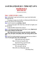 20 ĐỀ ÔN LUYỆN HÈ 2011- TIẾNG VIỆT LỚP 5 ĐỀ 16+17+18 ppt