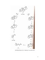 Giáo trinh : Phân tích cấu trúc hợp chất hữu cơ part 5 doc