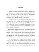 Nghiên cứu áp dụng các tiêu chuẩn chẩn đoán bệnh still người lớn