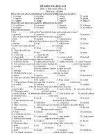 ĐỀ KIỂM TRA HỌC KÌ I Môn : Tiếng Anh ( khối 12 ) doc