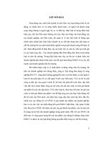 Hoàn thiện công tác kế toán chi phí sản xuất và tính giá thành sản phẩm ở công ty xây dựng dân dụng và công nghiệp DELTA trong điều kiện vận dụng các chuẩn mực kế toán việt nam