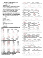 ĐỀ CƯƠNG ÔN TẬP TIẾNG ANH HỌC KÌ I LỚP 12 pot