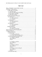 HỆ THỐNG QUẢN LÝ CÔNG TY VẬN TẢI BIỂN VOSCO VIỆT NAM pot