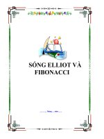 SÓNG ELLIOT VÀ FIBONACCI doc