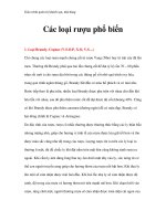 Giáo trình quản trị khách sạn, nhà hàng - Các loại rượu phổ biến pptx