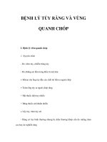BỆNH LÝ TỦY RĂNG VÀ VÙNG QUANH CHÓP doc