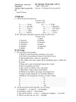 ĐỀ THI HỌC SINH GIỎI LỚP 12 MÔN : TIẾNG ANH - TRƯỜNG THPT NAM DUYÊN HÀ docx