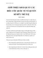 Quyền sở hữu trí tuệ - GIỚI THIỆU KHÁI QUÁT CÁC ĐIỀU ƯỚC QUỐC TẾ VỀ QUYỀN SỞ HỮU TRÍ TUỆ ppsx