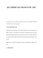 QUÁ TRÌNH TẠO THÀNH NƯỚC TIỂU potx