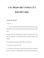 CÁC PHẠM TRÙ CƠ BẢN CỦA ĐẠO ĐỨC HỌC potx