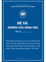 Kiểm định tính hiệu lực của các lý thuyết giải thích cho hiện tượng định dưới giá trong hoạt động phát hành chứng khoán lần đầu ra công chúng bằng chứng thực nghiệm ở việt nam