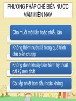 bài báo cáo trình chiếu làm nước mắm miền nam