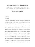 SIÊU ÂM DOPPLER XUYÊN SỌ TRONG CHẨN ĐOÁN BỆNH LÝ MẠCH MÁU NÃO potx