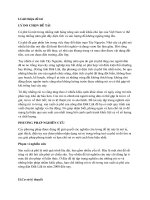 quản trị rủi ro cho trồng và sản xuất cà phê