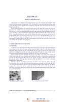 Giáo trình -Bảo quản nông sản -chương 6 potx