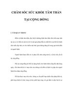 CHĂM SÓC SỨC KHỎE TÂM THẦN TẠI CỘNG ĐỒNG ppt